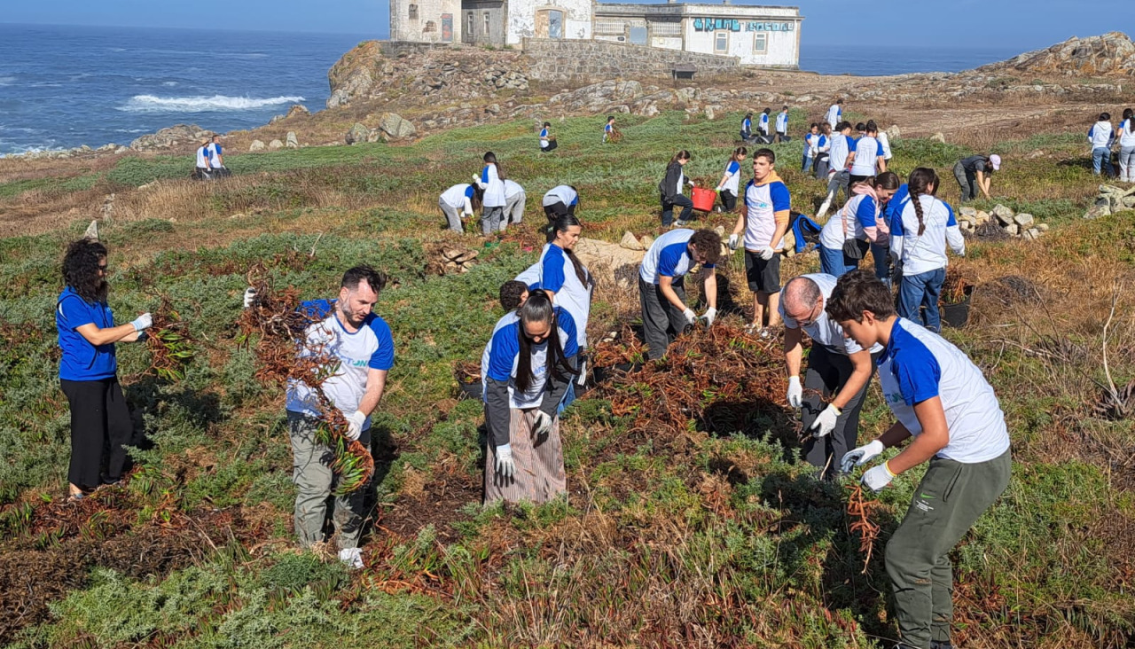 Corrubedo PLANCTON 12