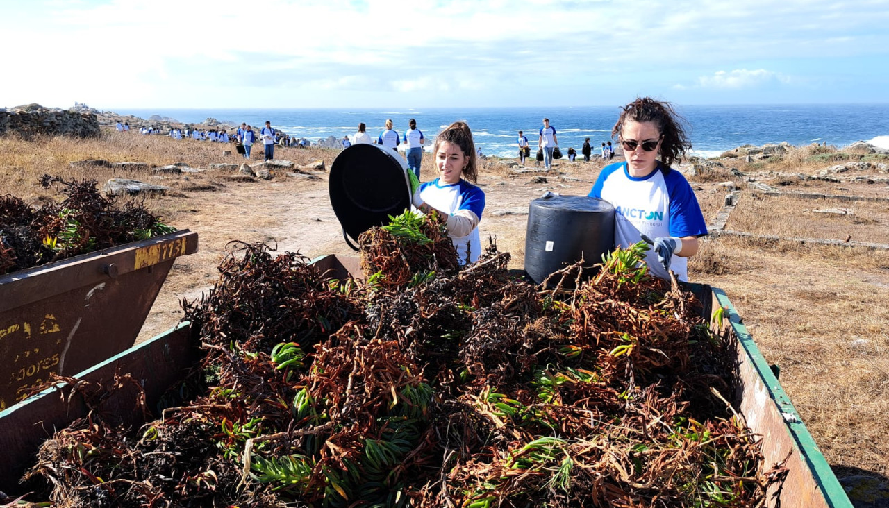 Corrubedo PLANCTON 14