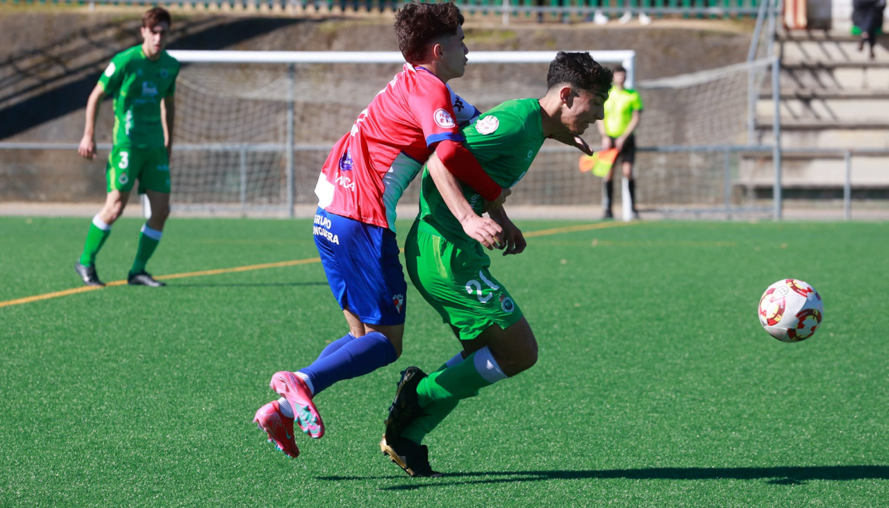 Arosa juvenil