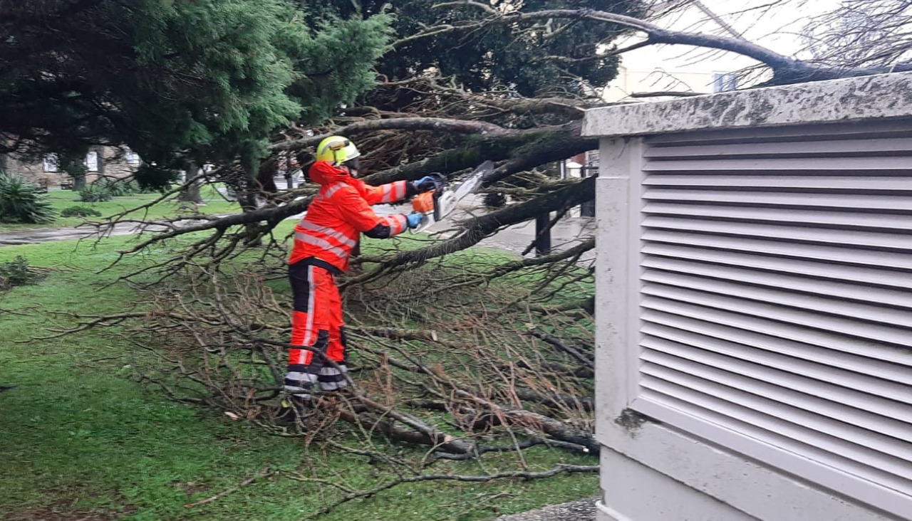 Ribeira temporal arbol caido