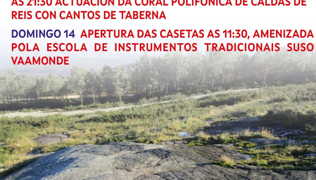 Cartel Festa do Viu00f1o de Saiar