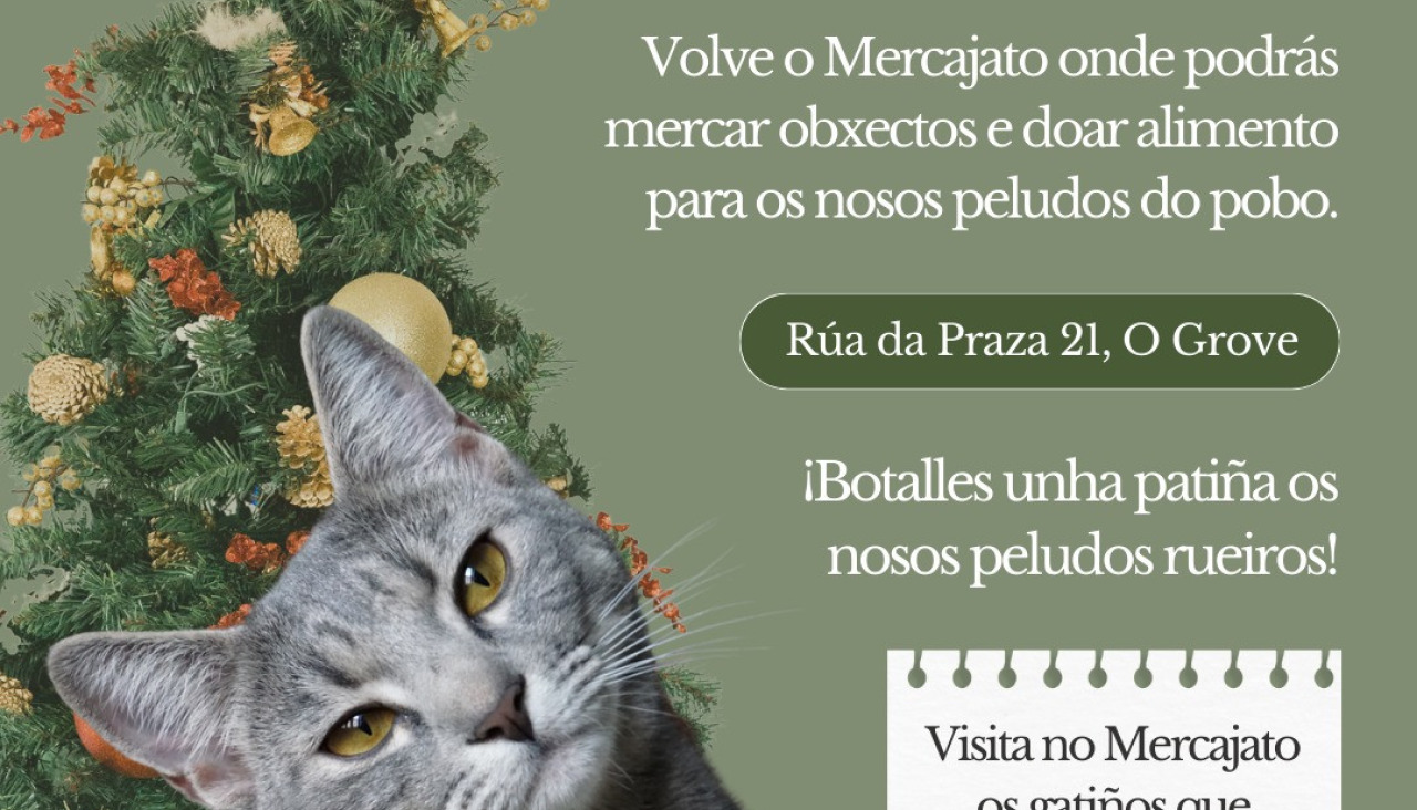 Mercajato