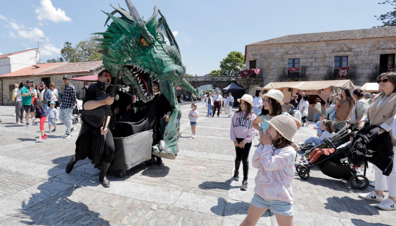 Dragón cambados histórica
