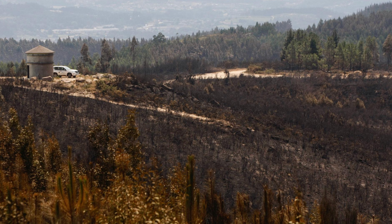 Monte xiabre quemado incendio 2022