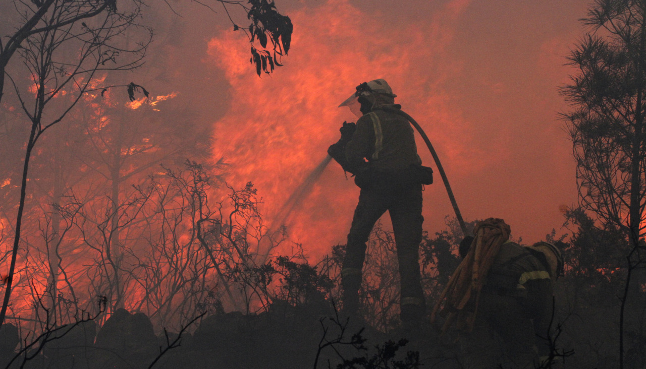 Incendio forestal bombero brigadista