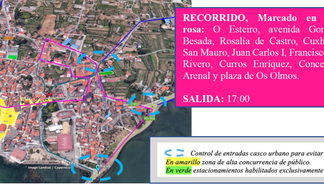 Desfile momo