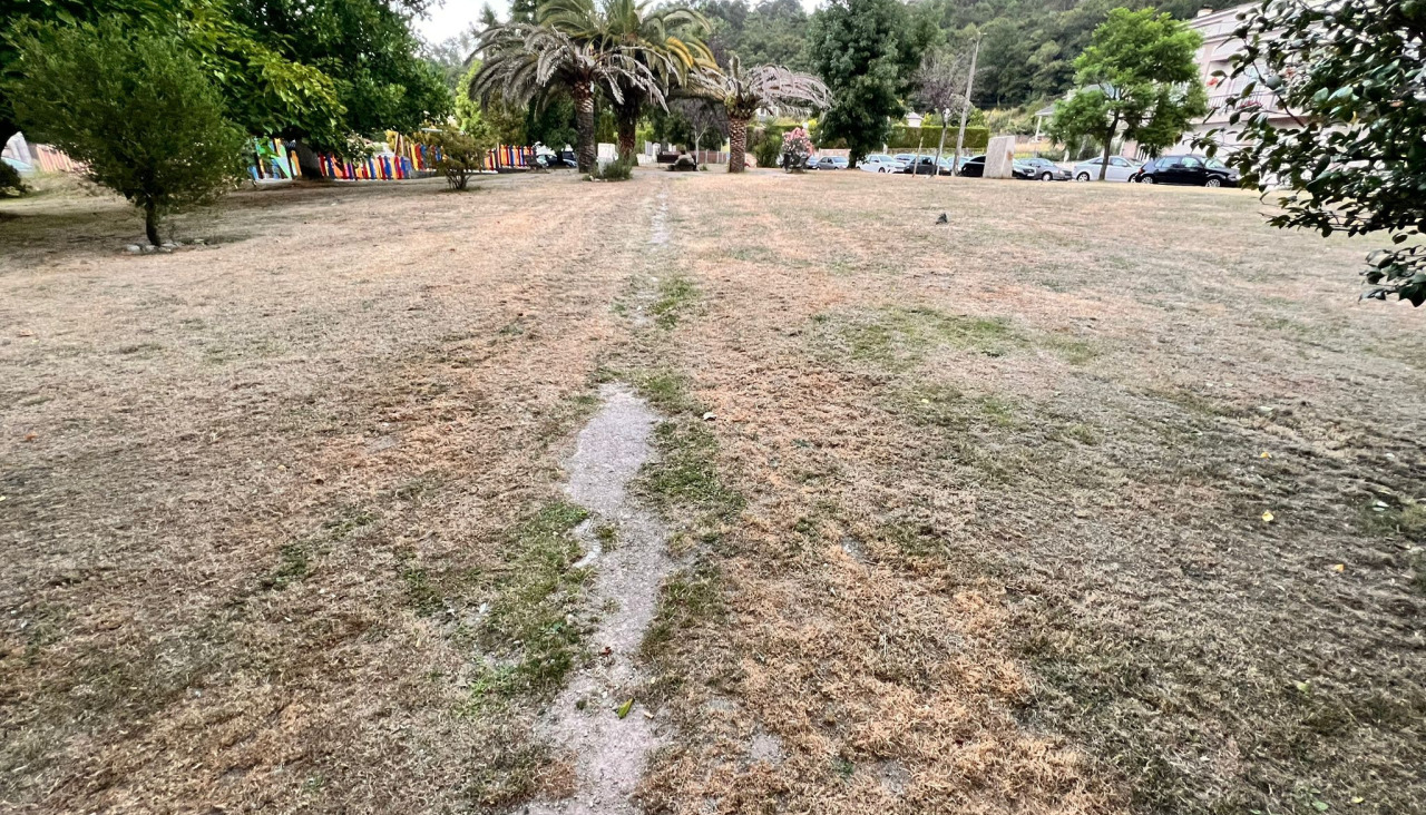 Zonas verdes secas caldas 3 