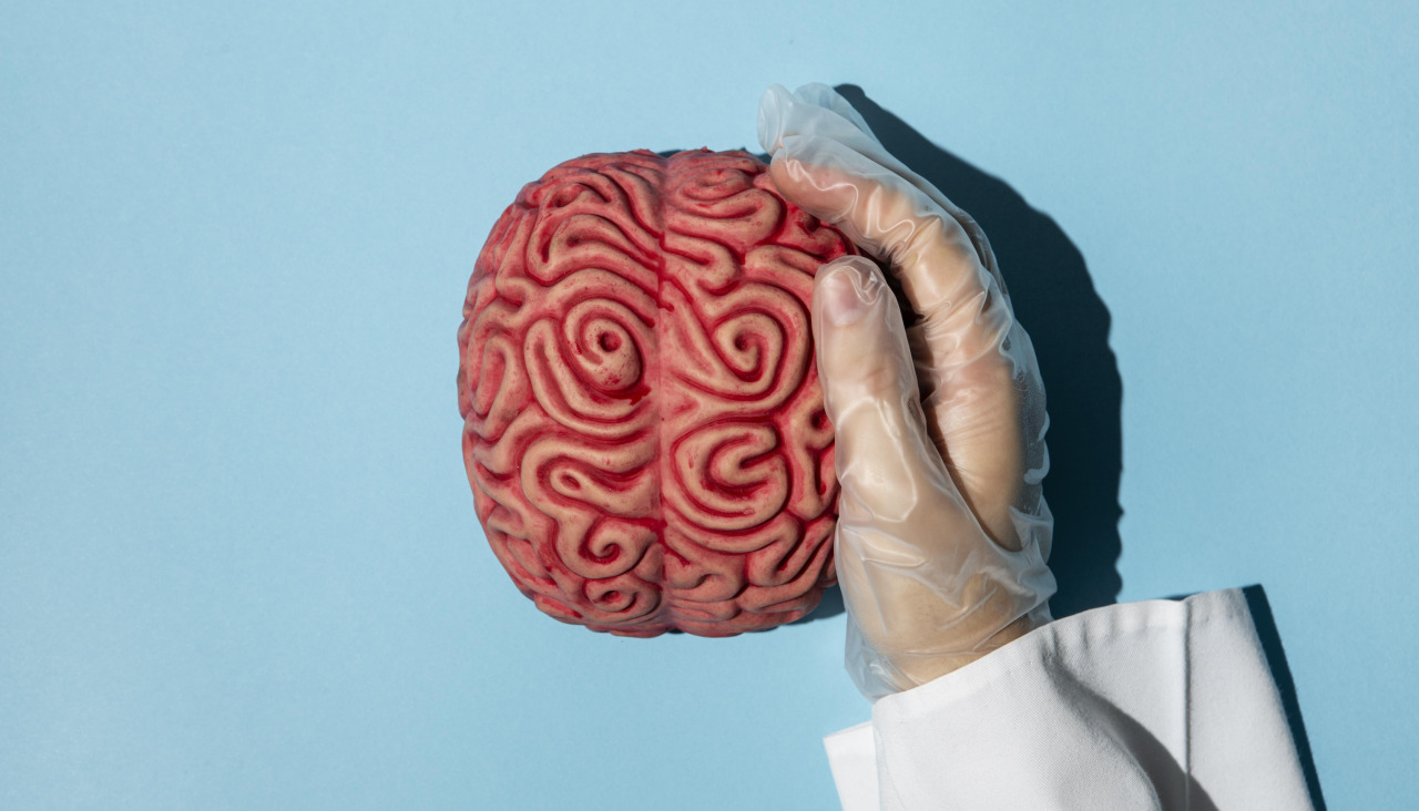 Top view person holding brain