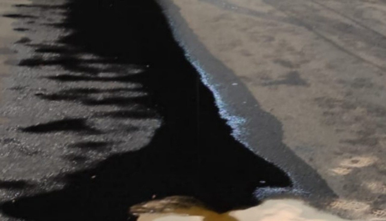 1000224953