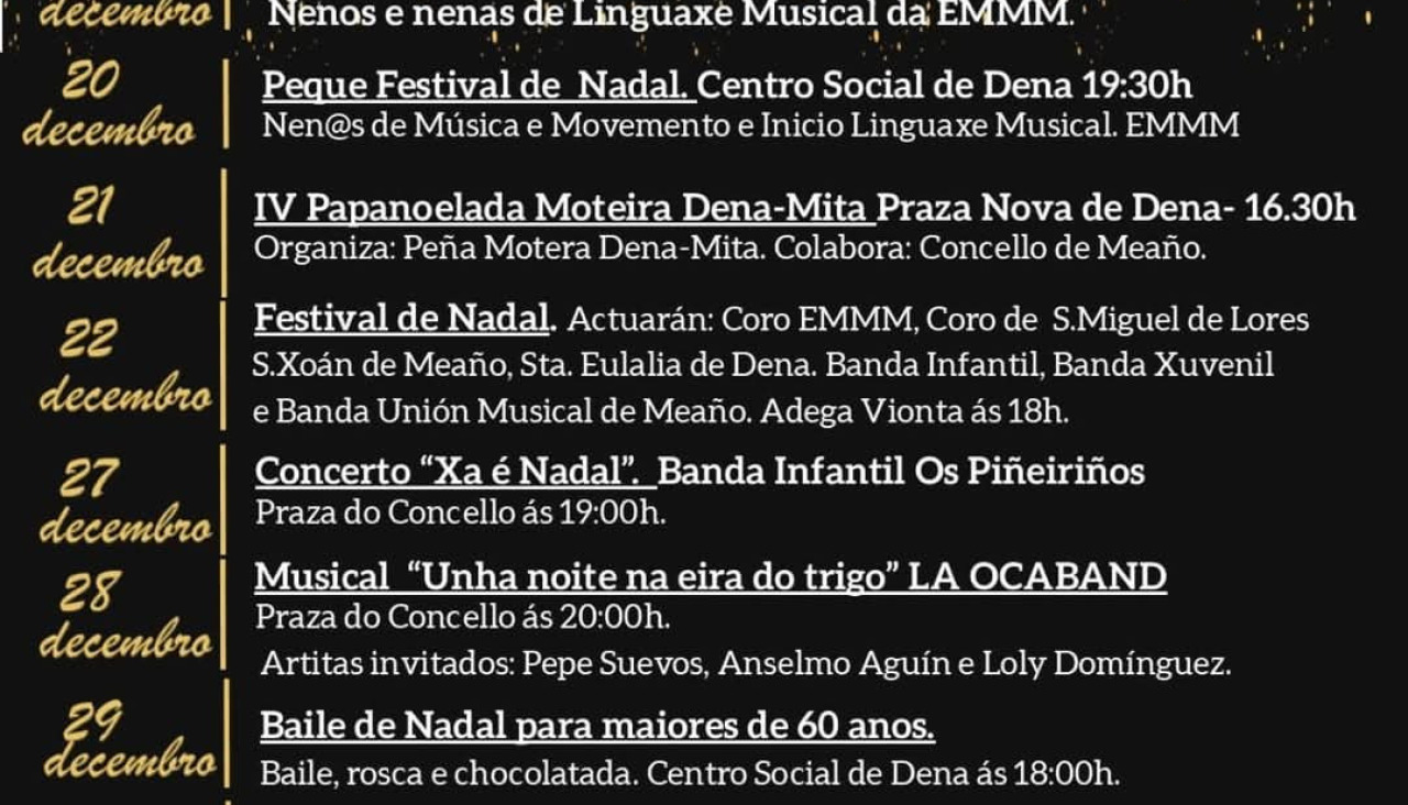 Programa navidad nadal meau00f1o