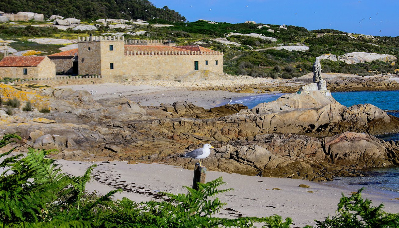 Sálvora será el destino de cinco viajes para dar a conocer todo el encanto que tiene la isla ribeirense