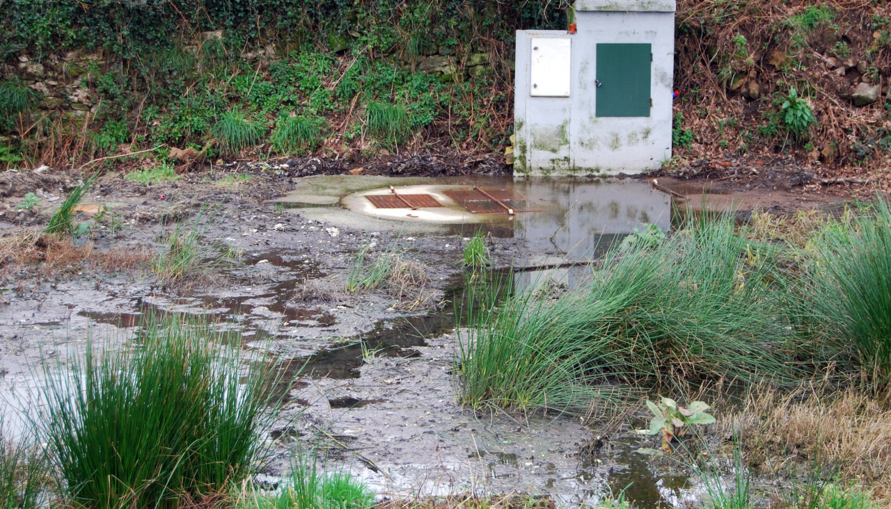 Vertido de aguas fecales en Cuntis