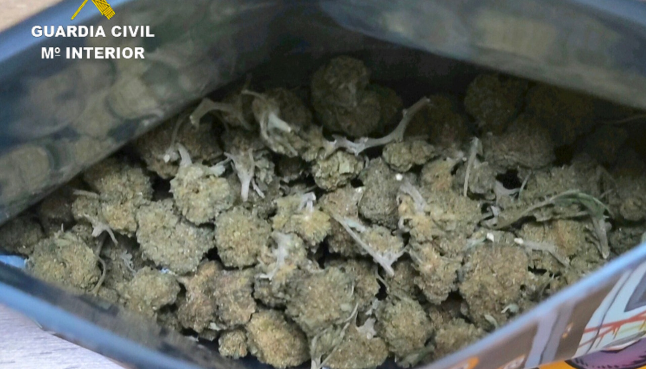 Cogollos de cannabis incautados durante la inspección