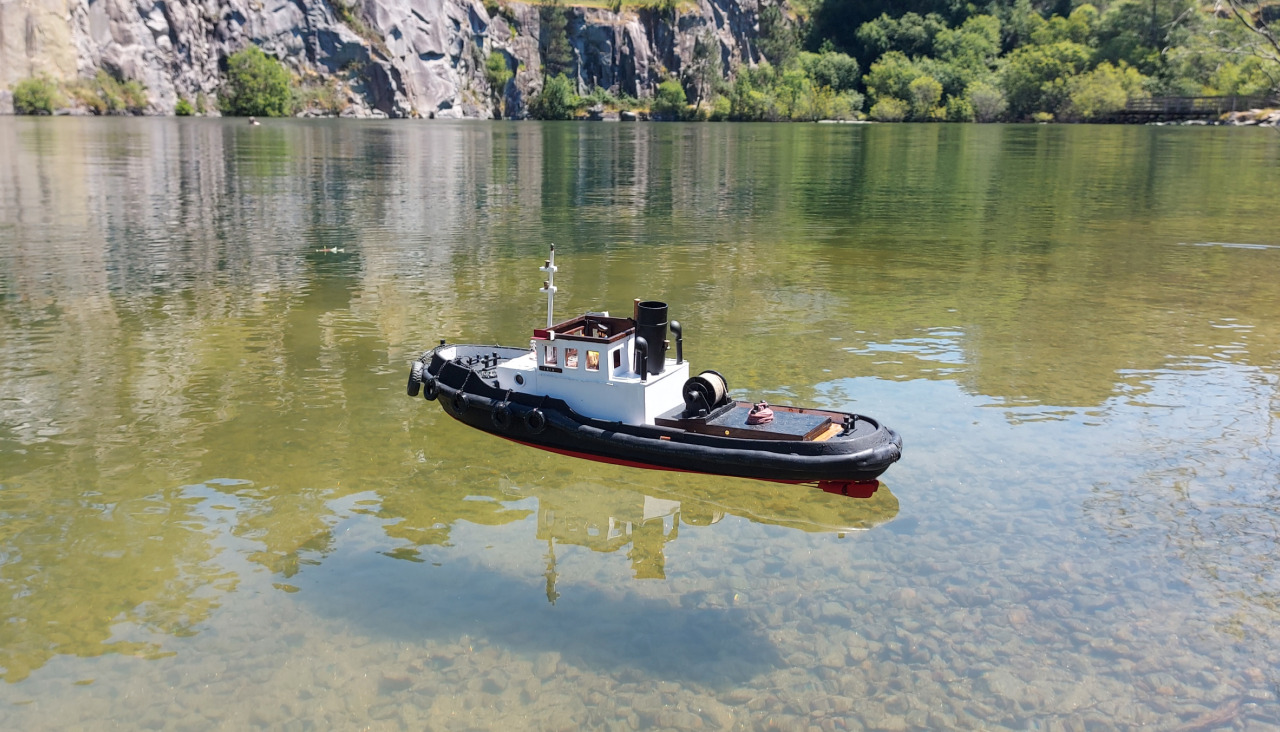 Todos los barcos que navegan funcionan con motores eléctricos