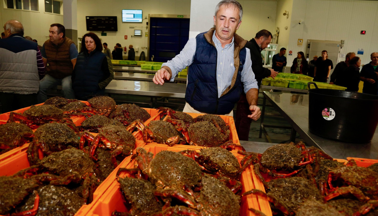 Un momento de la subasta de centolla el año pasado en O Grove