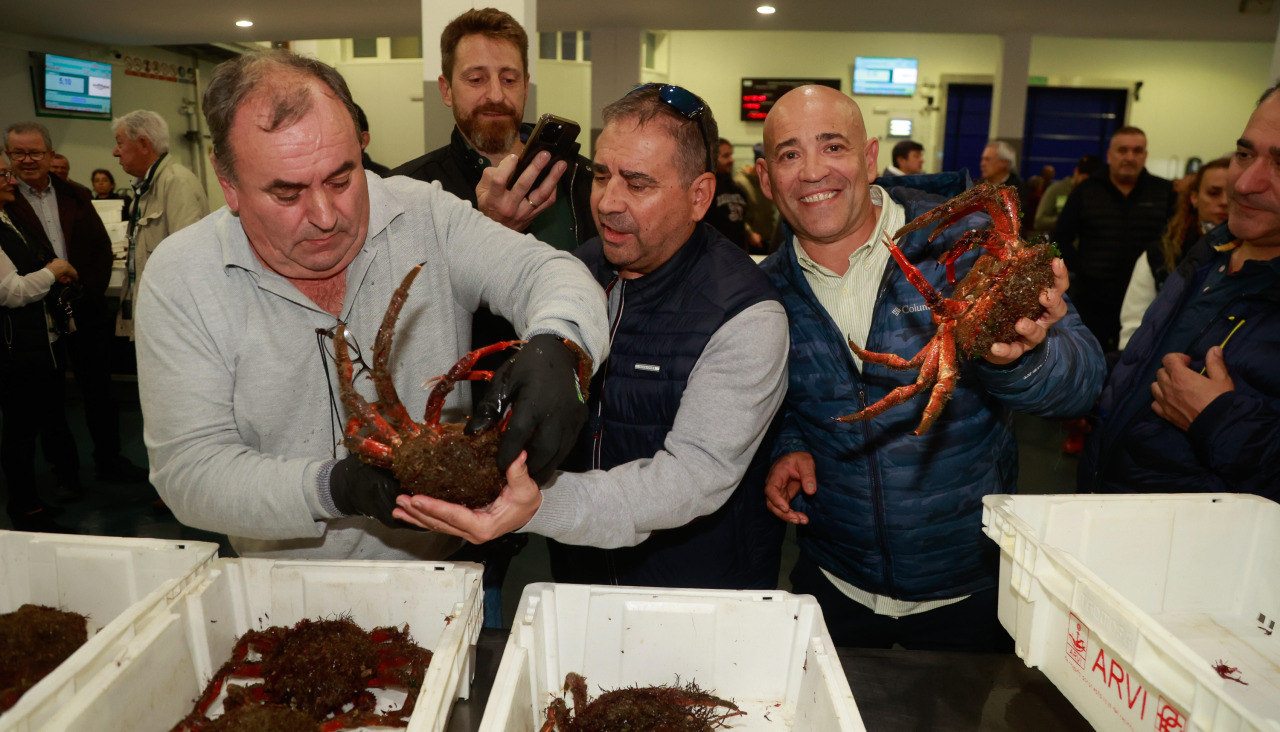 Primer día de campaña de la centolla en O Grove