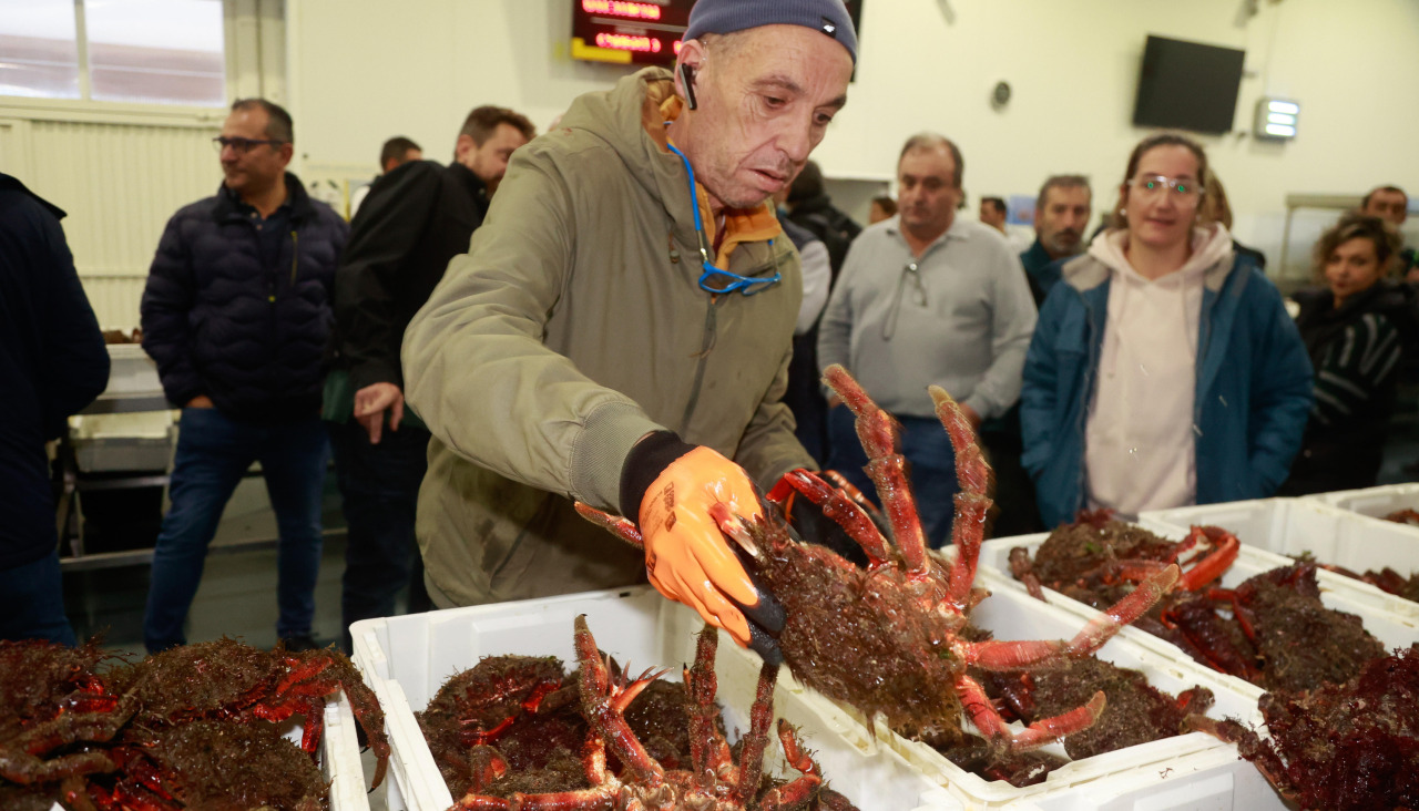 Llegaron a la lonja meca tres mil kilos de este crustáceo