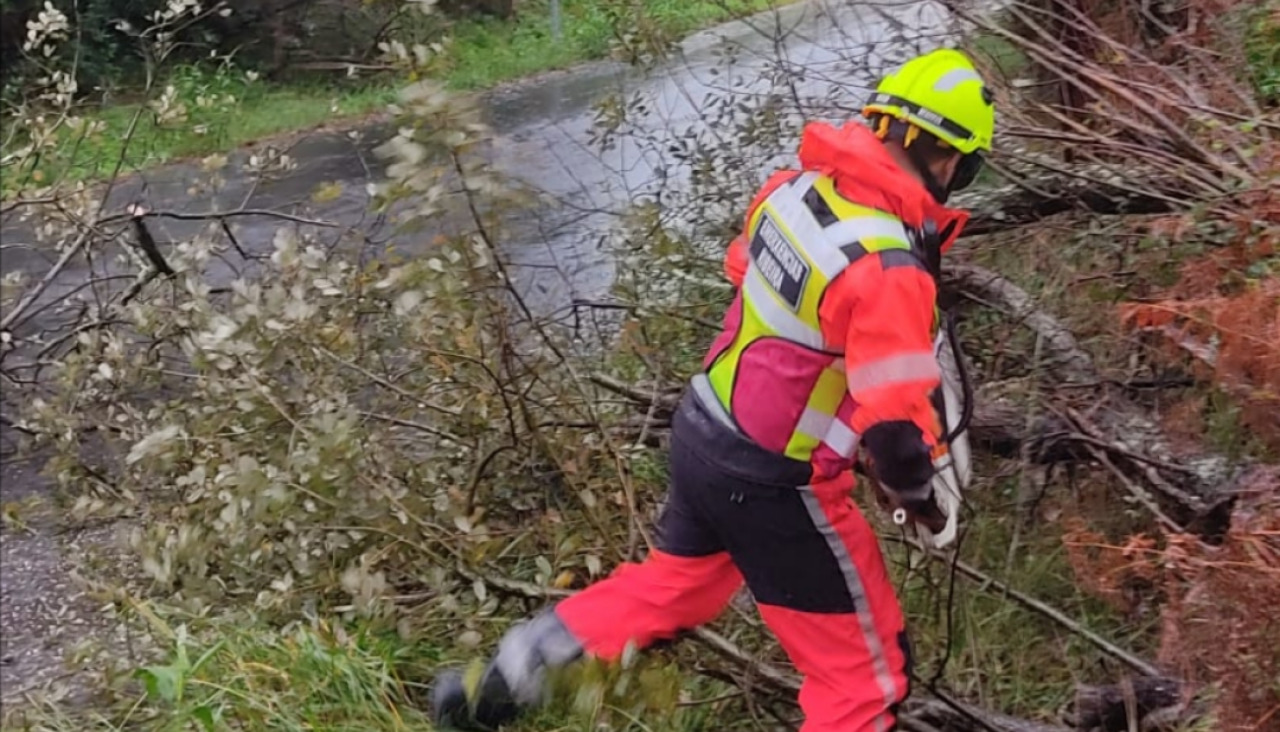 La dotación de guardia del GAEM ribeirense acudió a la retirada de un árbol que cayó sobre una pista, que la cortaba en su práctica totalidad