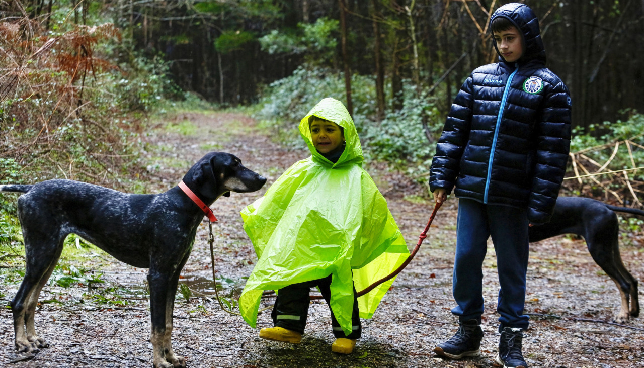 Dos niños disfrutan de un paseo con sus perros