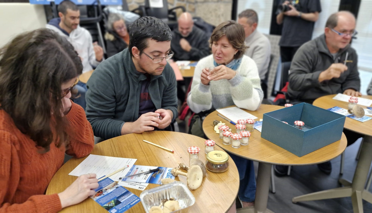 Obradoiro olfativo y sensitivo en el II Micogrove