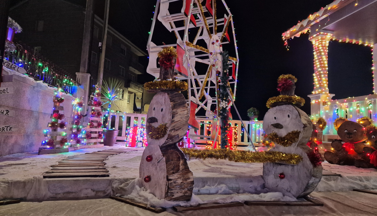 Elementos decorativos del ganador en categoría de Viviendas