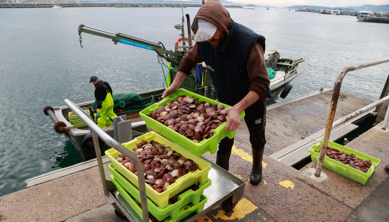 Descarga de volandeira, en el puerto de Tragove, durante el pasado mes de diciembre