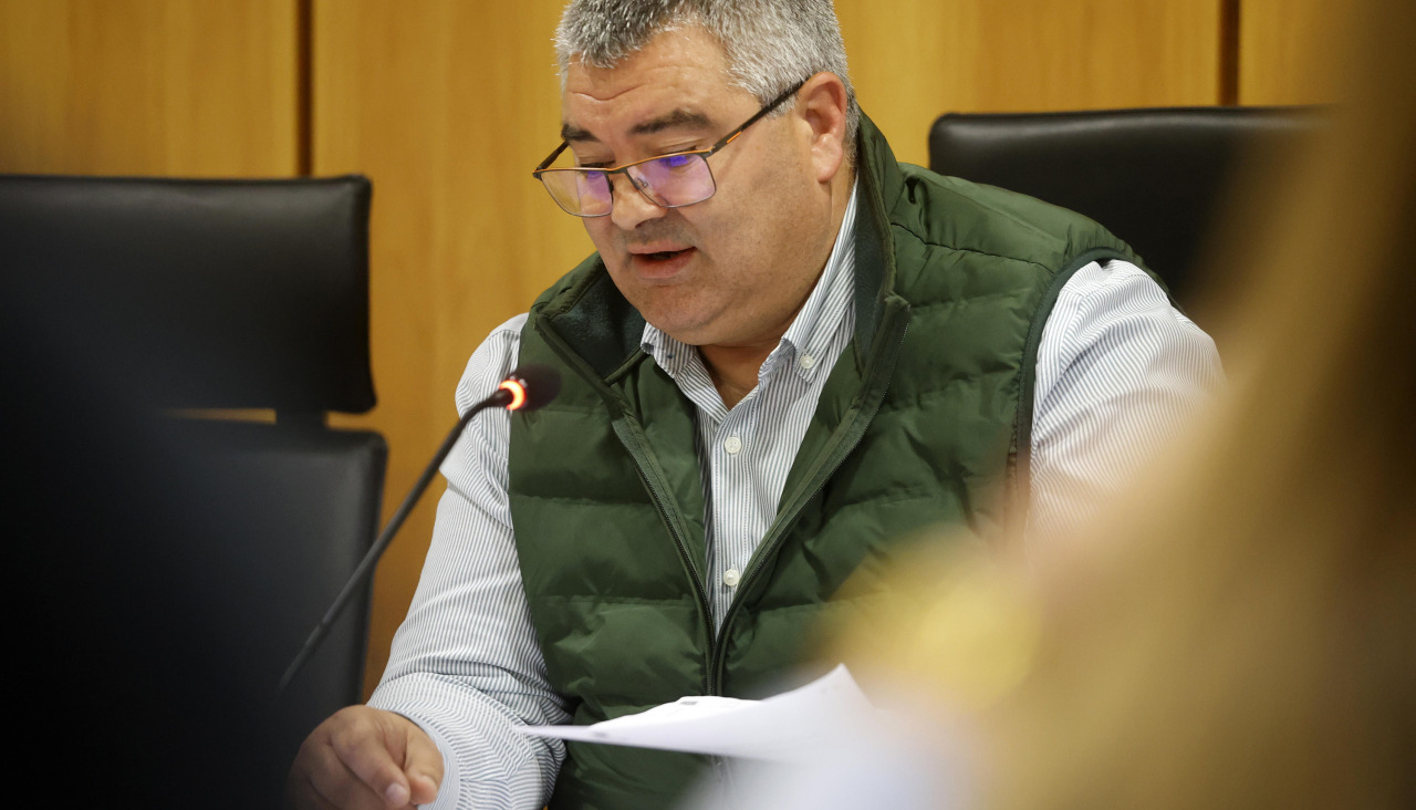 El alcalde ribadumiense, David Castro, durante un Pleno