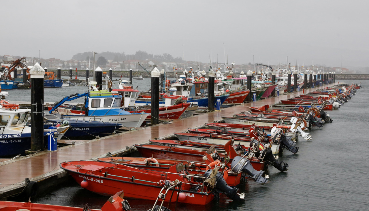 Flota amarrada el pasado lunes en el muelle de Tragove