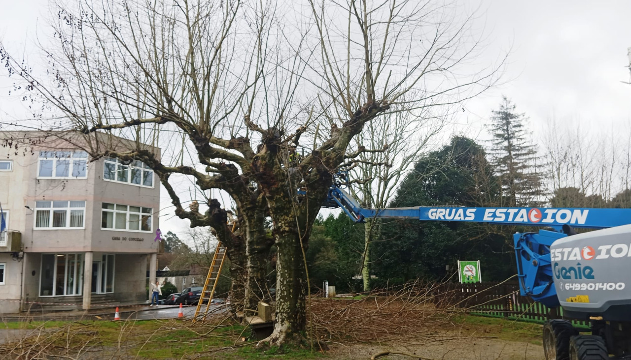 Trabajos de mantenimiento y poda en Cuntis