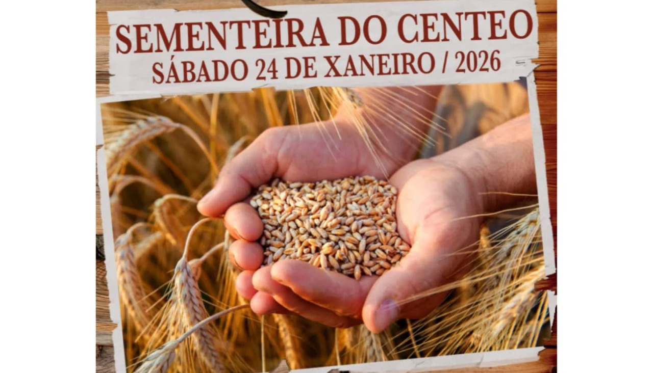 Imagen que publicita la actividad