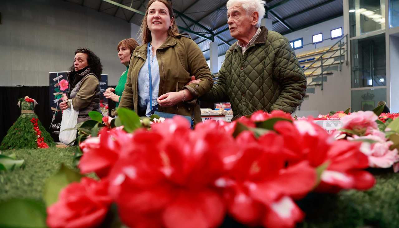 La exposición del pasado 2025, también en el pabellón deportivo, debido a su importante tamaño