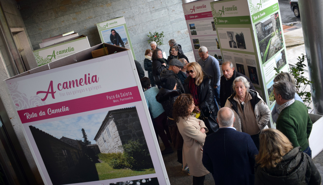 Queda inaugurada la exposición ‘A camelia, flor de galegos e galegas’