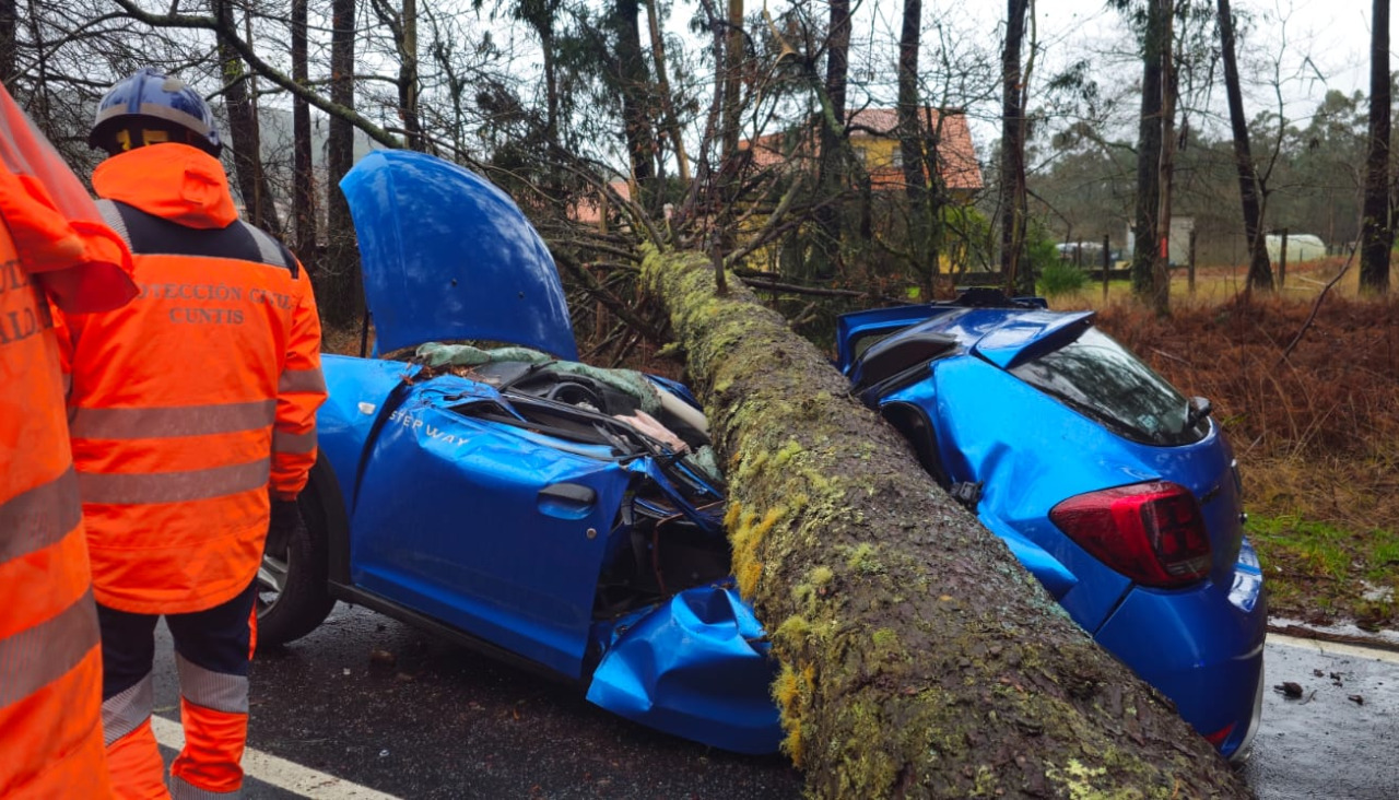 Un árbol cae y destroza un vehículo en Cesariños San Andrés de Cesar