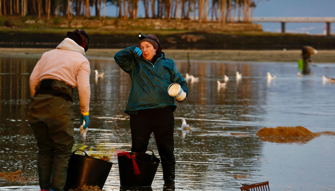 Marisqueo a pie en los arenales vilanoveses, en una imagen de archivo 
