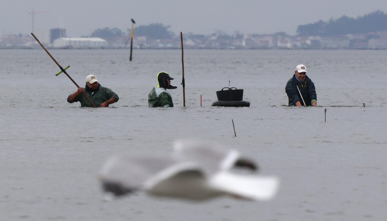 Foto de archivo del sector en Carril