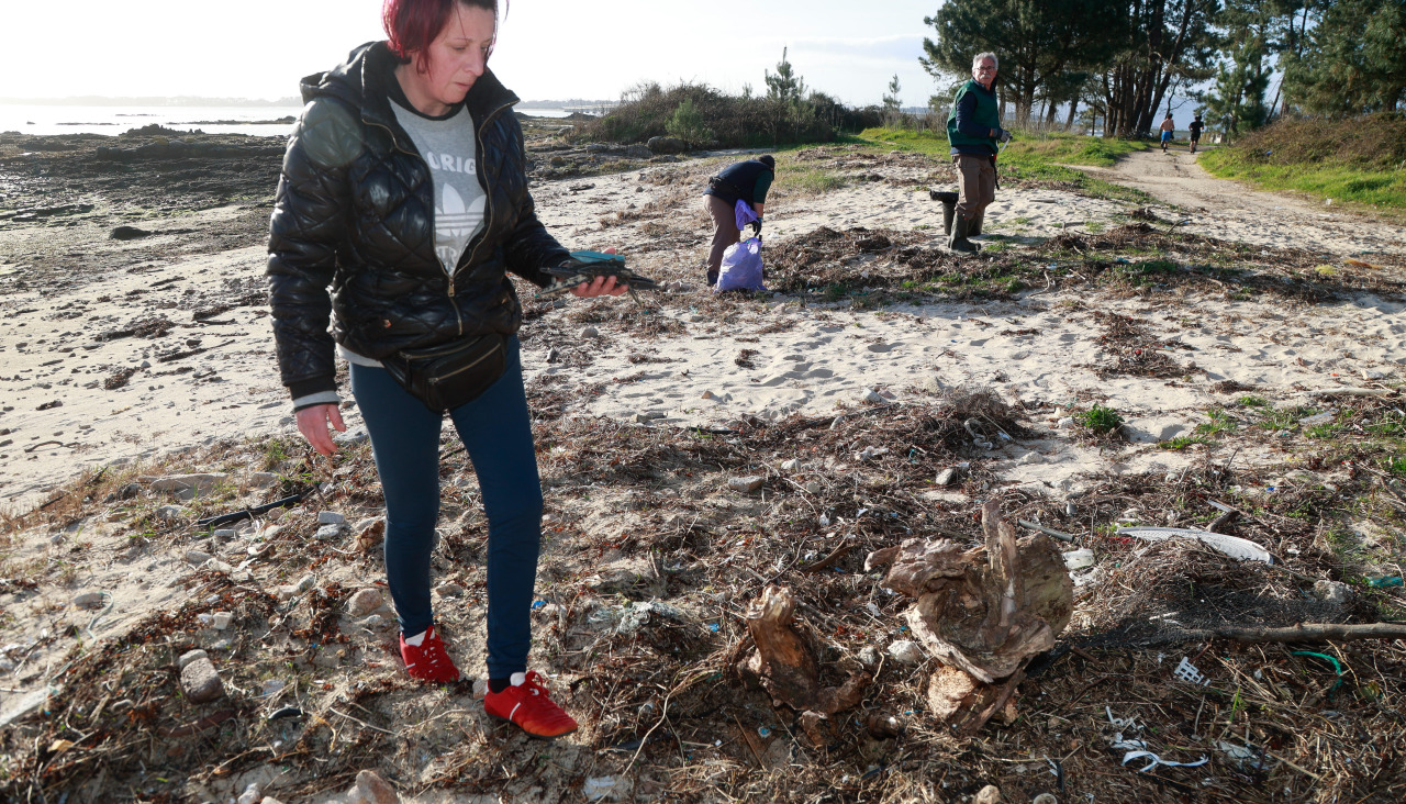 Voluntarios en la limpieza de O Castelete