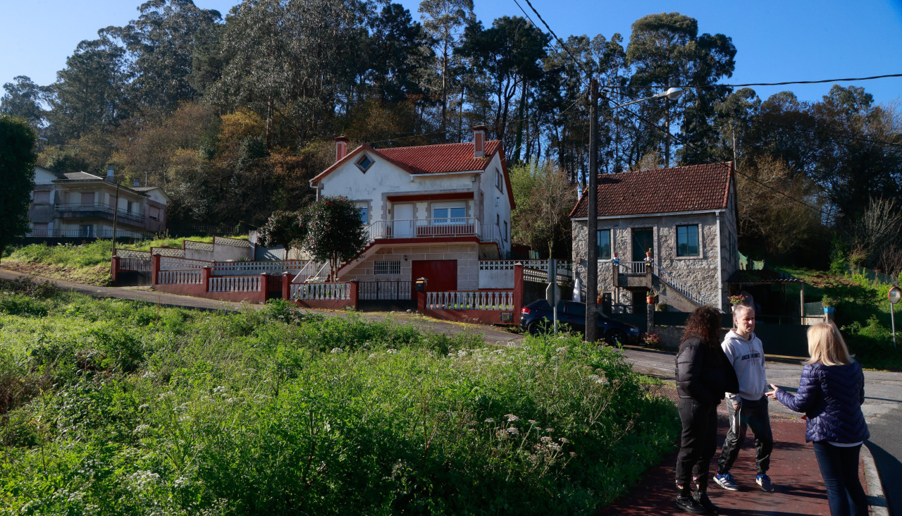 Los grandes eucaliptos están justo por detrás de las casas