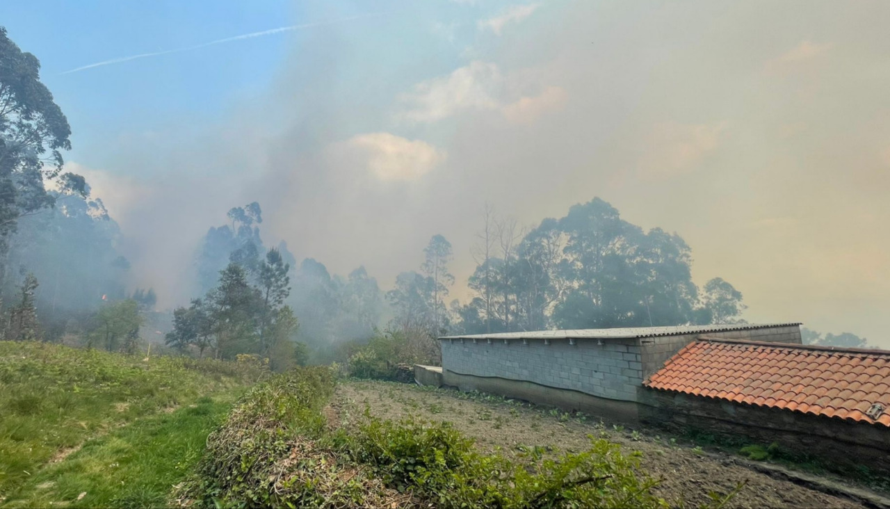 El incendio forestal se acercó peligrosamente a zonas pobladas del municipio pobrense