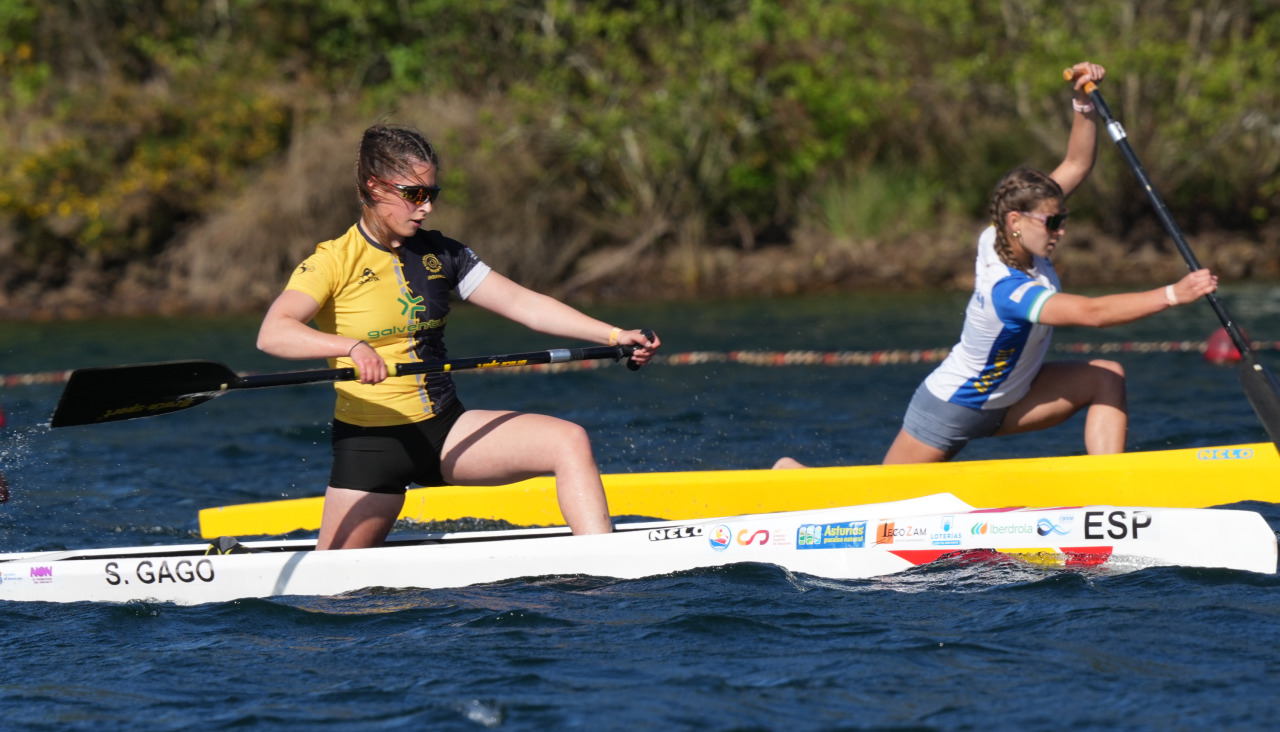 silvia