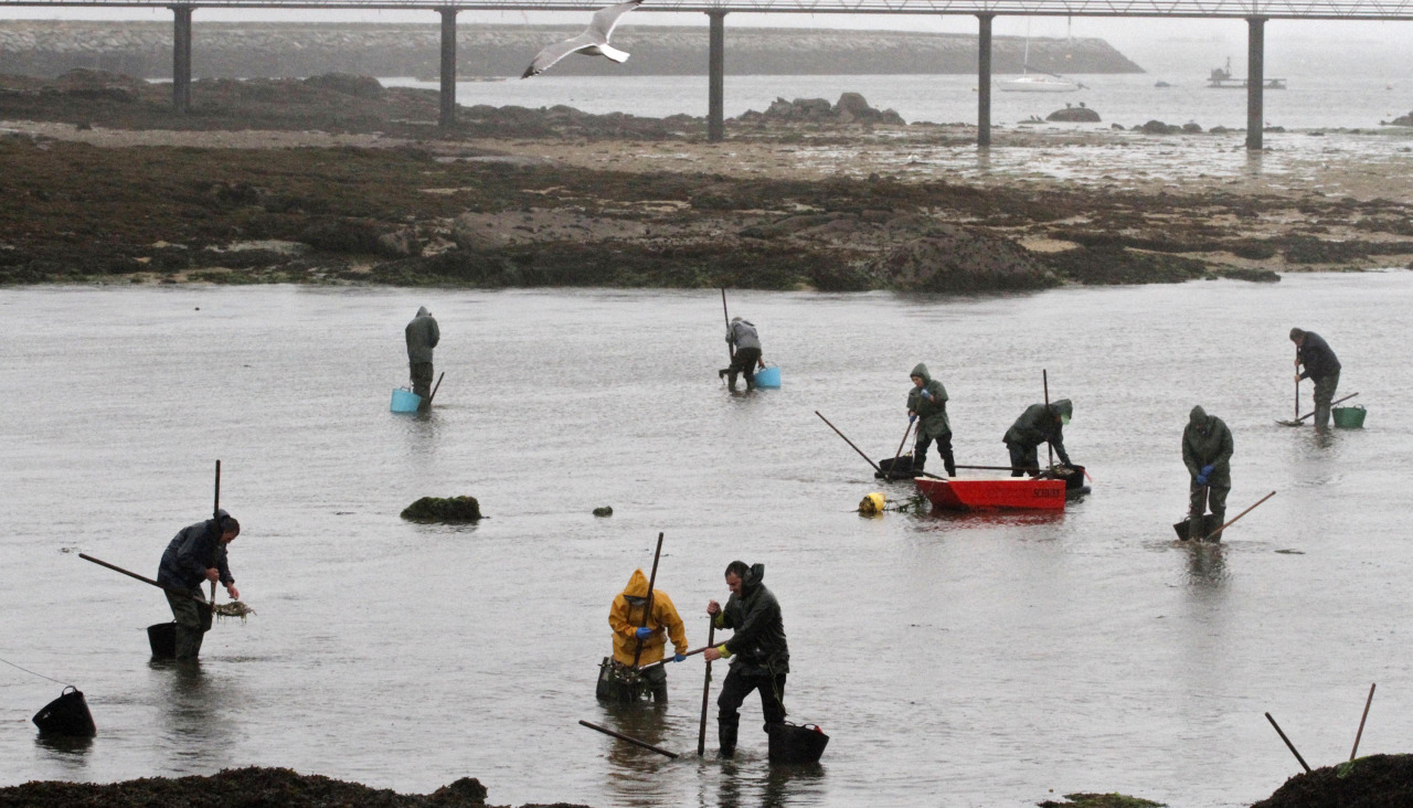 Trabajadores del sector en aguas de O Esteiro, en Vilanova de Arousa