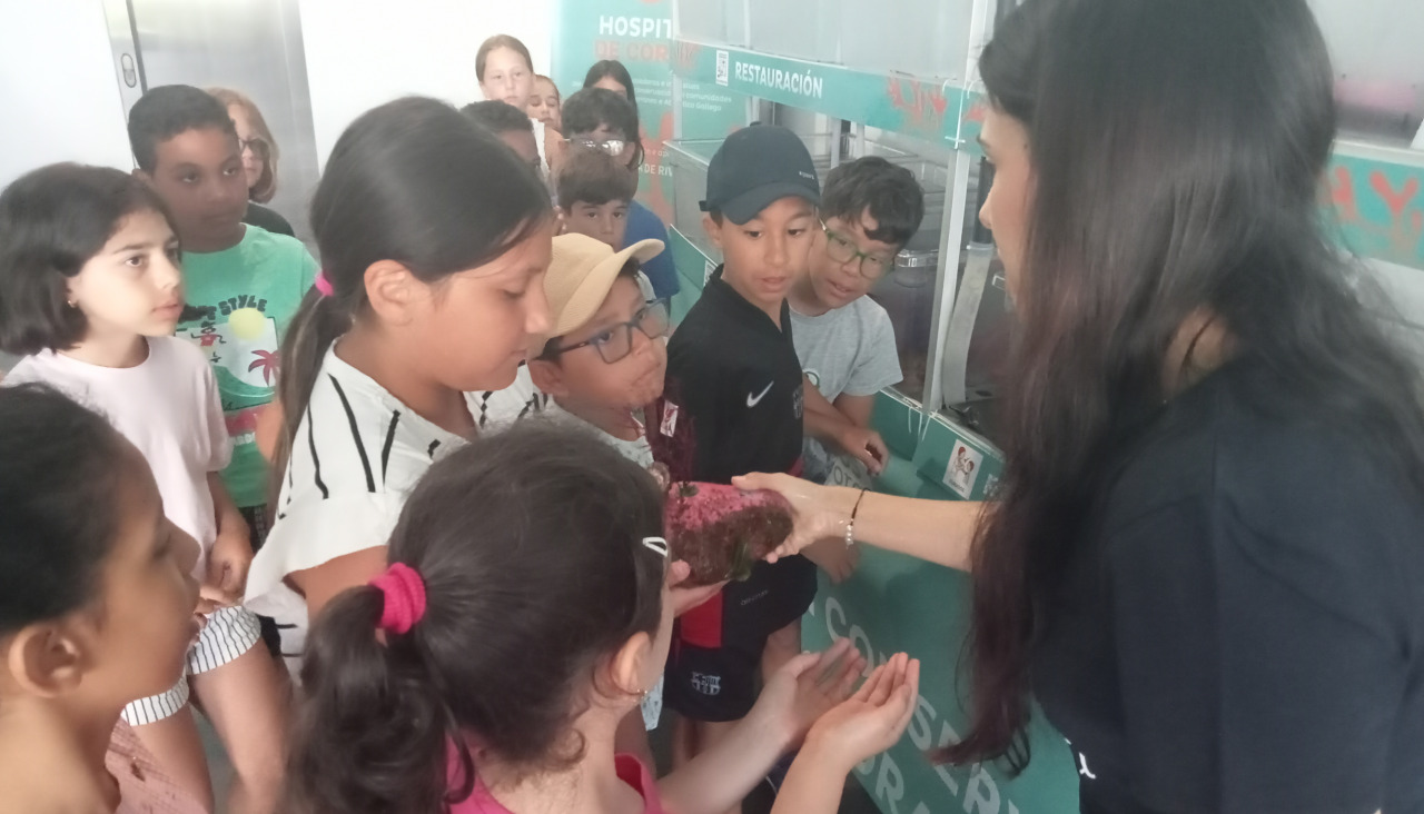 El proyecto 'Cabalga' contempla entre sus acciones el Hospital de Cr¡orais, que se ubica en el vestíbulo de la lonja ribeirense, donde ha recibido visitas de grupos de alumnado de diferentes centros educativos