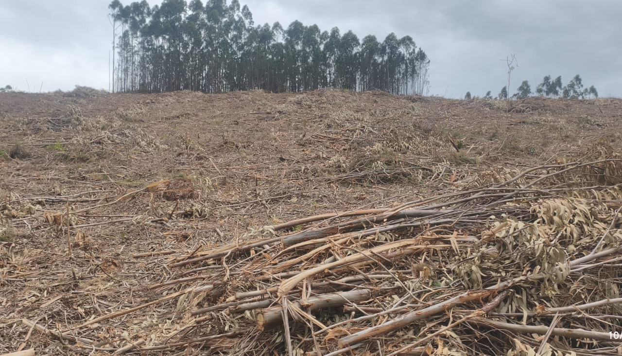 Imágenes aportadas por la asociación Fulgor do Monte Faro de Sanxenxo