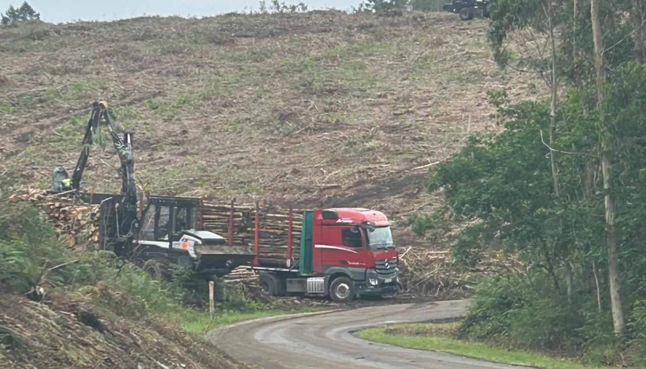 Imágenes aportadas por la asociación Fulgor do Monte Faro de Sanxenxo