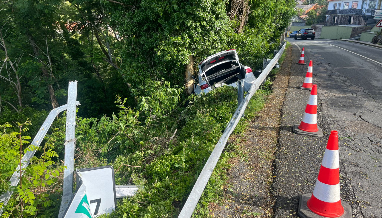 El único coche iumplicado en el siniestro se salió de la vía por el margen izquierdo e impactó contra un árbol