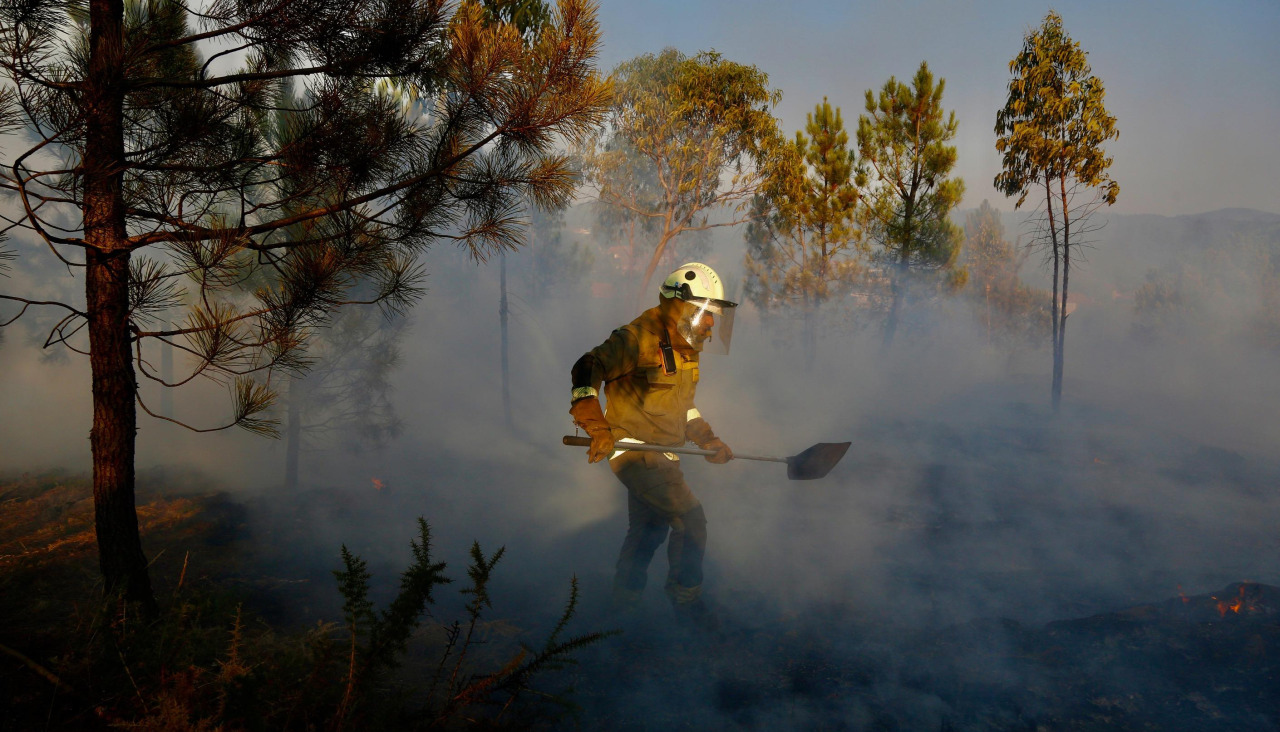 Imagen de archivo de un incendio forestal en Vilanova