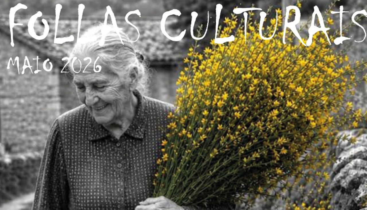 Follas Culturais
