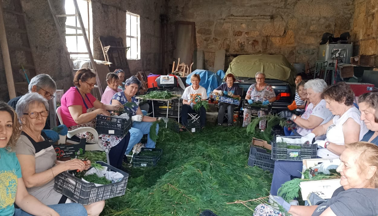 Los vecinos y las vecinas de Cuntis trabajan en la preparación de su tradicional Corpus Christi