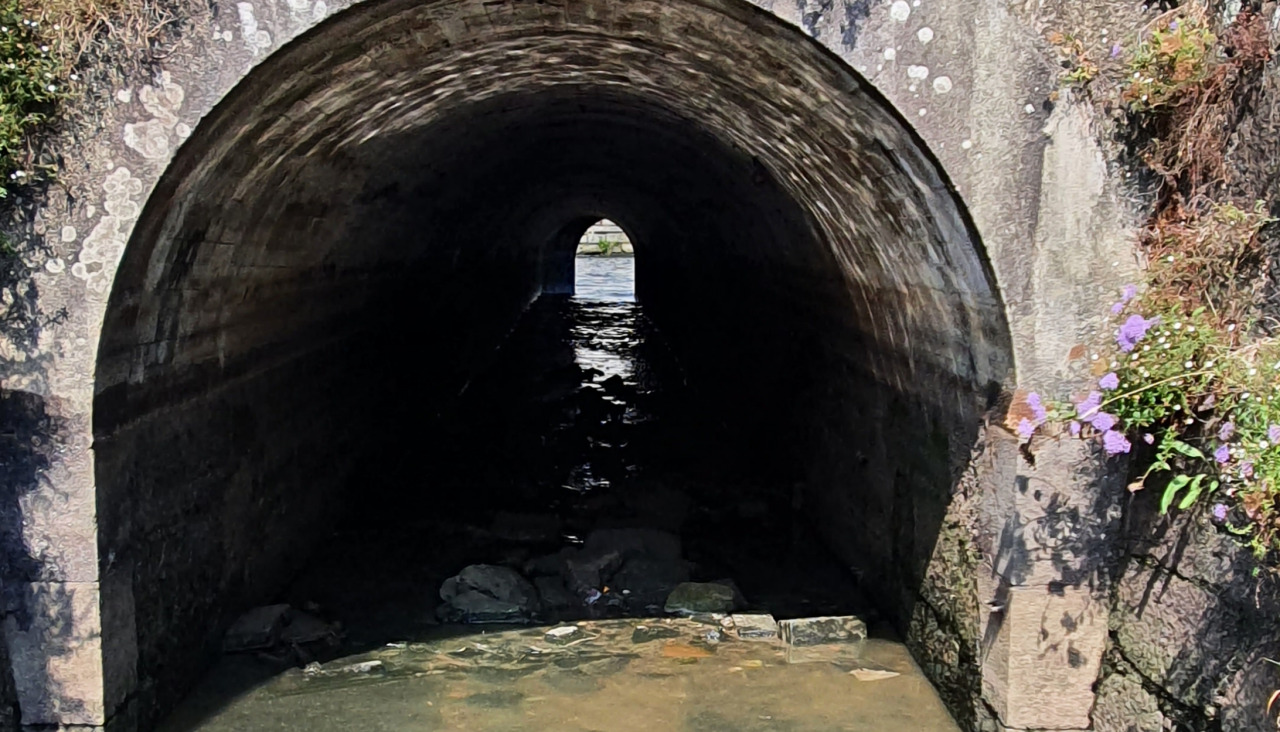 Los populares denuncian los constantes vertidos contaminantes,al cauce fluvial del Ulla