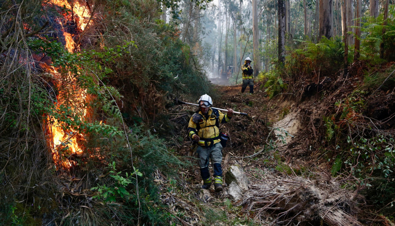 Efectivos trabajando en un incendio forestal en Meaño el año pasado
