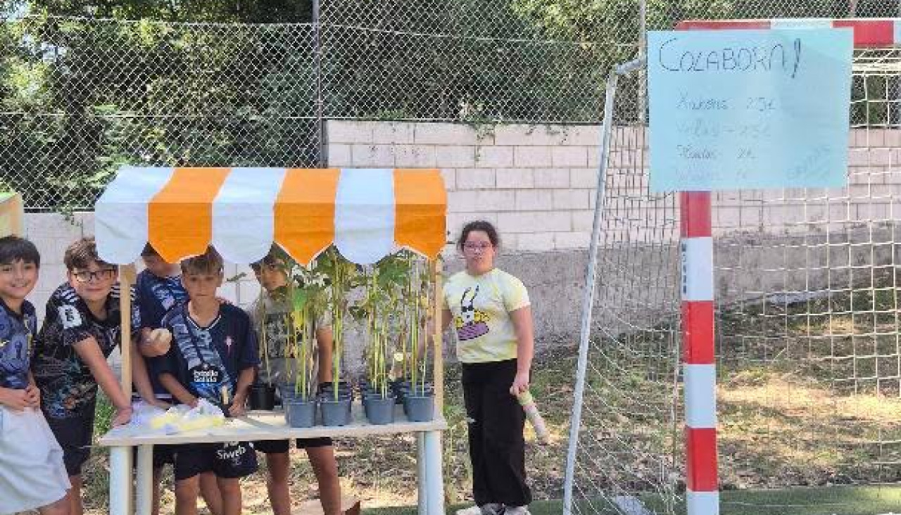 Mercadillo solidario del CEIP Conmemiño en O Grove